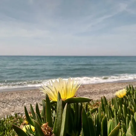 Appartement El Morche