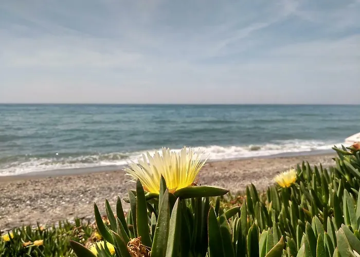 Appartement El Morche